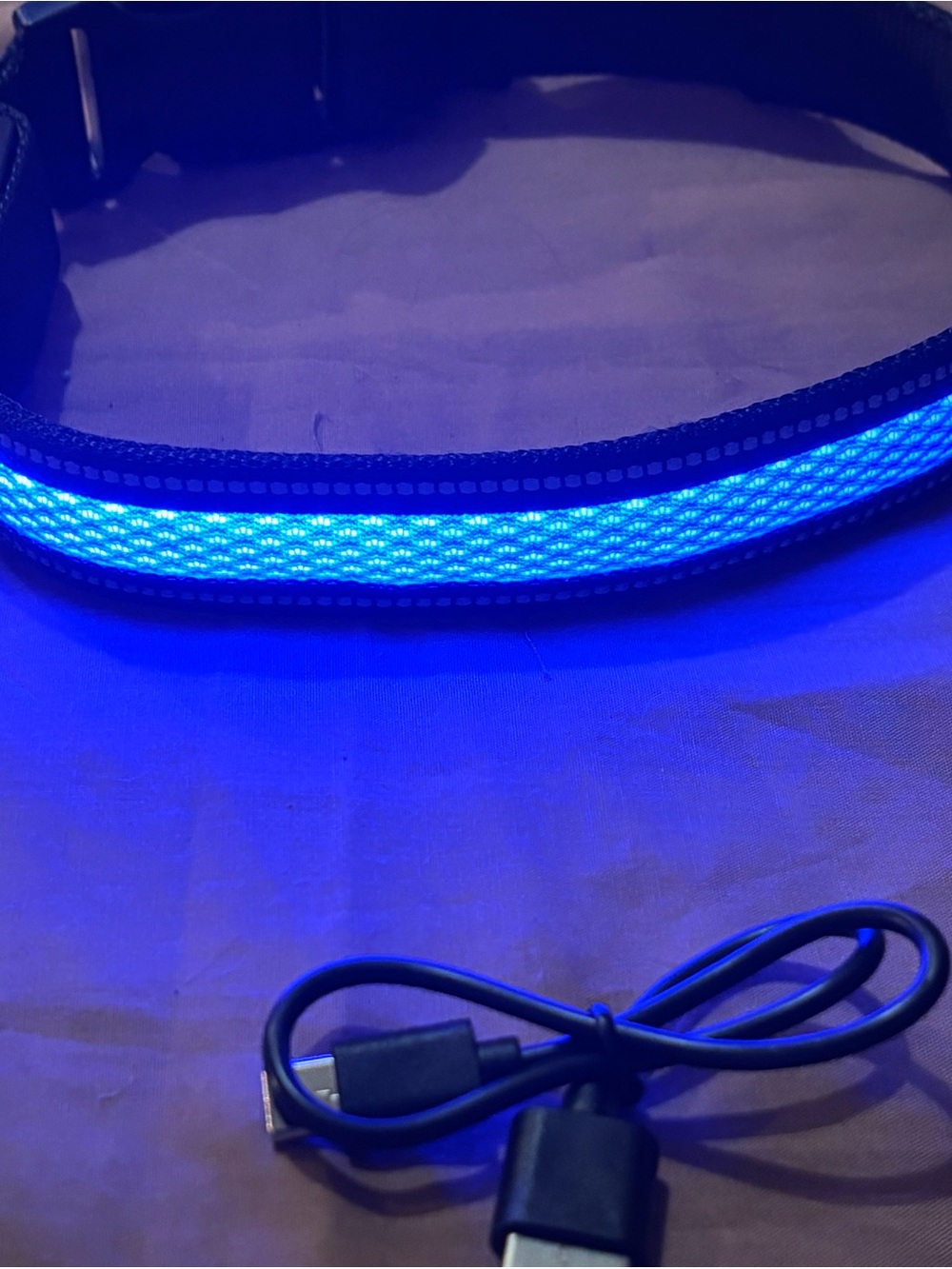 Rechargeable LED Dog Collar - Bright Blue